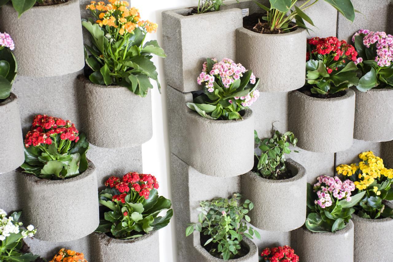 Radisson Blu Resort, Al Khobar 하프문 베이 외부 사진 Vertical garden